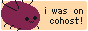 badge for cohost.org/rebane2001